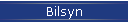 Bilsyn