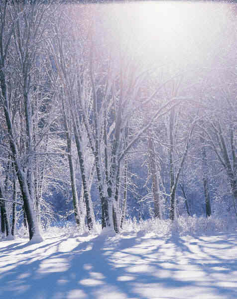 Minus 22 grader: Her kr�ves et godt el-anl�g!